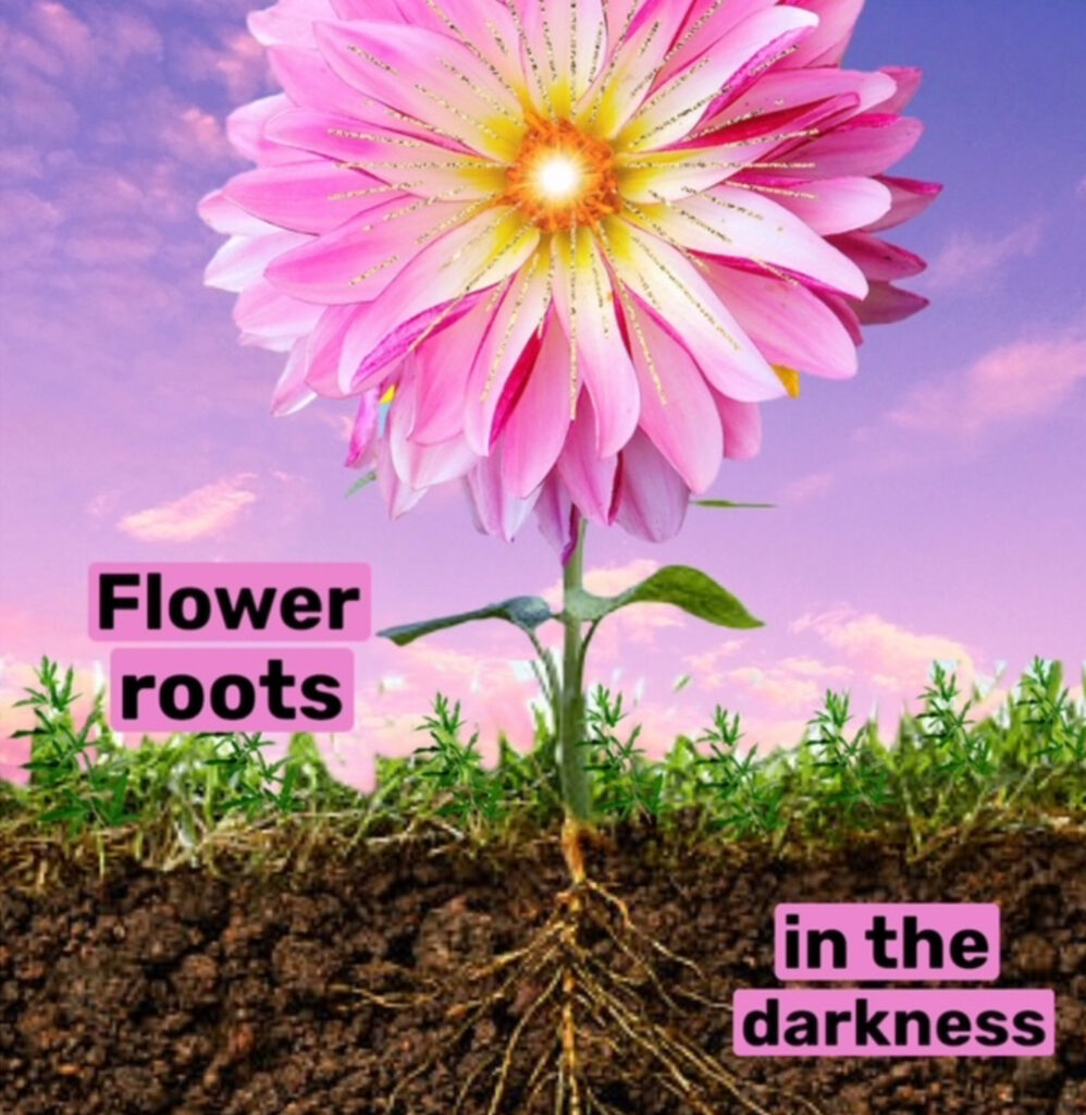 Flower roots in the darkness